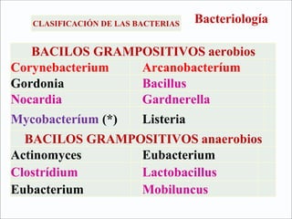 BacteriologíaCLASIFICACIÓN DE LAS BACTERIAS
BACILOS GRAMPOSITIVOS aerobios
Corynebacterium   Arcanobacteríum
Gordonia Bacillus
Nocardia Gardnerella
Mycobacteríum (*)   Listeria
BACILOS GRAMPOSITIVOS anaerobios
Actinomyces   Eubacterium
Clostrídium Lactobacillus
Eubacterium Mobiluncus
 