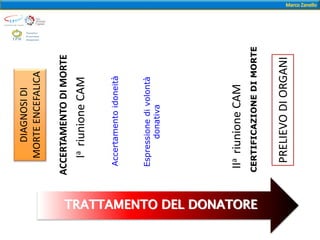 TRATTAMENTO DEL DONATORE
DIAGNOSIDI
MORTEENCEFALICA
ACCERTAMENTODIMORTE
IariunioneCAM
IIariunioneCAM
Accertamentoidoneità
Espressionedivolontà
donativa
CERTIFICAZIONEDIMORTE
PRELIEVODIORGANI
 