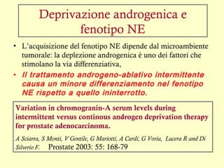 Deprivazione androgenica e
fenotipo NE
• L’acquisizione del fenotipo NE dipende dal microambiente
tumorale: la deplezione androgenica è uno dei fattori che
stimolano la via differenziativa,
• Il trattamento androgeno-ablativo intermittente
causa un minore differenziamento nel fenotipo
NE rispetto a quello ininterrotto.
Variation in chromogranin-A serum levels during
intermittent versus continous androgen deprivation therapy
for prostate adenocarcinoma.
A Sciarra, S Monti, V Gentile, G Mariotti, A Cardi, G Voria, Lucera R and Di
Silverio F. Prostate 2003: 55: 168-79
 