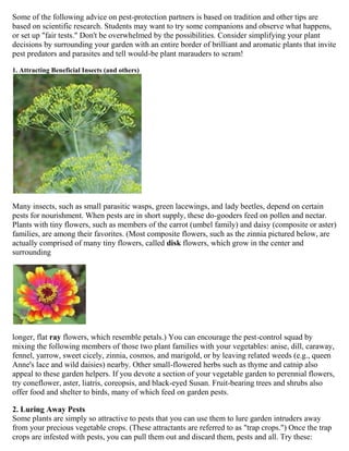 Some of the following advice on pest-protection partners is based on tradition and other tips are
based on scientific research. Students may want to try some companions and observe what happens,
or set up "fair tests." Don't be overwhelmed by the possibilities. Consider simplifying your plant
decisions by surrounding your garden with an entire border of brilliant and aromatic plants that invite
pest predators and parasites and tell would-be plant marauders to scram!

1. Attracting Beneficial Insects (and others)




Many insects, such as small parasitic wasps, green lacewings, and lady beetles, depend on certain
pests for nourishment. When pests are in short supply, these do-gooders feed on pollen and nectar.
Plants with tiny flowers, such as members of the carrot (umbel family) and daisy (composite or aster)
families, are among their favorites. (Most composite flowers, such as the zinnia pictured below, are
actually comprised of many tiny flowers, called disk flowers, which grow in the center and
surrounding




longer, flat ray flowers, which resemble petals.) You can encourage the pest-control squad by
mixing the following members of those two plant families with your vegetables: anise, dill, caraway,
fennel, yarrow, sweet cicely, zinnia, cosmos, and marigold, or by leaving related weeds (e.g., queen
Anne's lace and wild daisies) nearby. Other small-flowered herbs such as thyme and catnip also
appeal to these garden helpers. If you devote a section of your vegetable garden to perennial flowers,
try coneflower, aster, liatris, coreopsis, and black-eyed Susan. Fruit-bearing trees and shrubs also
offer food and shelter to birds, many of which feed on garden pests.

2. Luring Away Pests
Some plants are simply so attractive to pests that you can use them to lure garden intruders away
from your precious vegetable crops. (These attractants are referred to as "trap crops.") Once the trap
 