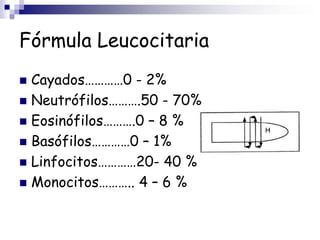 Fórmula Leucocitaria
 Cayados…………0 - 2%
 Neutrófilos……….50 - 70%
 Eosinófilos……….0 – 8 %
 Basófilos…………0 – 1%
 Linfocitos…………20- 40 %
 Monocitos……….. 4 – 6 %
 