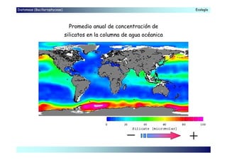 Diatomeas (Bacillariophyceae)
Promedio anual de concentración de
silicatos en la columna de agua océanica
EcologíaEcología
 