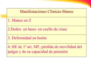 4. HE de 1ª art. MF, pérdida de movilidad del pulgar y de su capacidad de prensión 3. Deformidad en botón 2.Dedos  en huso- en cuello de cisne 1. Manos en Z Manifestaciones Clínicas-Manos 