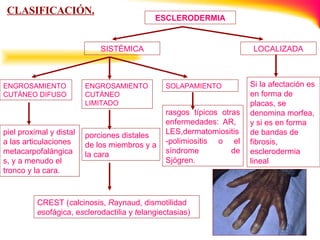 CLASIFICACIÓN.   ESCLERODERMIA SISTÉMICA ENGROSAMIENTO CUTÁNEO DIFUSO piel proximal y distal a las articulaciones metacarpofalángicas, y a menudo el tronco y la cara.  ENGROSAMIENTO CUTÁNEO LIMITADO porciones distales de los miembros y a la cara  CREST ( c alcinosis,  R aynaud, dismotilidad  e sofágica, e s clerodactilia y  t elangiectasias)  SOLAPAMIENTO rasgos típicos otras enfermedades: AR,  LES,dermatomiositis-polimiositis o el síndrome de Sjögren. LOCALIZADA Si la afectación es en forma de placas, se denomina morfea, y si es en forma de bandas de fibrosis, esclerodermia lineal  