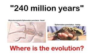 Where's the evolution