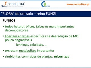 FUNGOS
• todos heterotróficos, talvez os mais importantes
decompositores
• libertam enzimas específicas na degradação de MO
pouco degradáveis
 lenhinas, celuloses, ...
• excretam metabolitos importantes
• simbiontes com raízes de plantas: micorrizas
“FLORA” de um solo – reino FUNGI
 