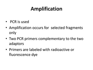 Amplification
• PCR is used
• Amplification occurs for selected fragments
only
• Two PCR primers complementary to the two
adaptors
• Primers are labeled with radioactive or
fluorescence dye
 