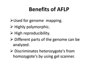 Benefits of AFLP
Used for genome mapping.
 Highly polymorphic.
 High reproducibility.
 Different parts of the genome can be
analyzed.
 Discriminates heterozygote's from
homozygote's by using gel scanner.
 