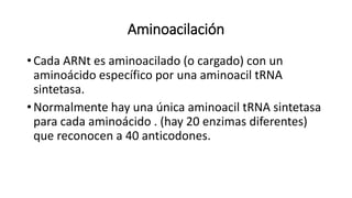 Aminoacilación
• Cada ARNt es aminoacilado (o cargado) con un
aminoácido específico por una aminoacil tRNA
sintetasa.
• Normalmente hay una única aminoacil tRNA sintetasa
para cada aminoácido . (hay 20 enzimas diferentes)
que reconocen a 40 anticodones.
 