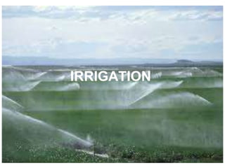 IRRIGATION
1
 