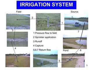 1
1
2
3
4
5
6
7
1 Pressure flow to field
2 Sprinkler application
3 Runoff
4 Capture
5,6,7 Return flow
Field Source
Tailwater
Pond
IRRIGATION SYSTEM
5
 