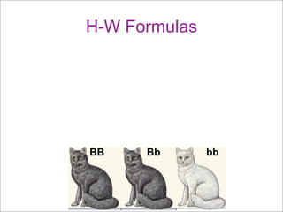1.7