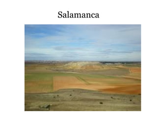 Salamanca
 