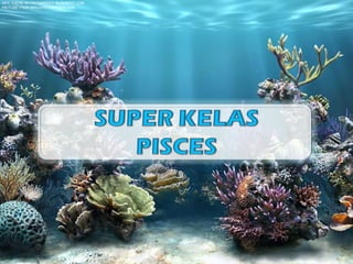 Pisces Class 