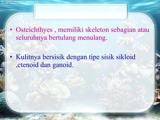 • Osteichthyes , memiliki skeleton sebagian atau
seluruhnya bertulang menulang.
• Kulitnya bersisik dengan tipe sisik sikloid
,ctenoid dan ganoid.
 