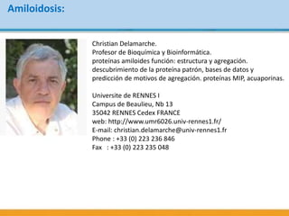 Amiloidosis:
Christian Delamarche.
Profesor de Bioquímica y Bioinformática.
proteínas amiloides función: estructura y agregación.
descubrimiento de la proteína patrón, bases de datos y
predicción de motivos de agregación. proteínas MIP, acuaporinas.
Universite de RENNES I
Campus de Beaulieu, Nb 13
35042 RENNES Cedex FRANCE
web: http://www.umr6026.univ-rennes1.fr/
E-mail: christian.delamarche@univ-rennes1.fr
Phone : +33 (0) 223 236 846
Fax : +33 (0) 223 235 048
 