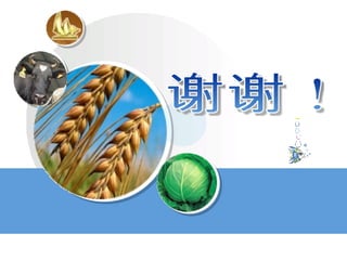 谢谢！ 
