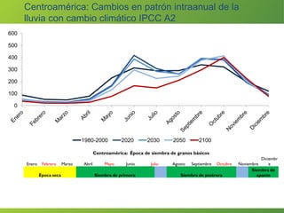 Centroamérica: Cambios en patrón intraanual de la lluvia con cambio climático IPCC A2 
0 
100 
200 
300 
400 
500 
600 
1980-2000 
2020 
2030 
2050 
2100 
Centroamérica: Época de siembra de granos básicos 
Enero 
Febrero 
Marzo 
Abril 
Mayo 
Junio 
Julio 
Agosto 
Septiembre 
Octubre 
Noviembre 
Diciembre 
Época seca 
Siembra de primera 
Siembra de postrera 
Siembra de apante  