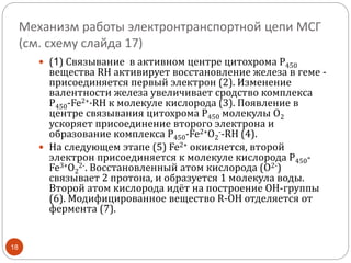 Механизм работы электронтранспортной цепи МСГ
(см. схему слайда 17)
18
 (1) Связывание в активном центре цитохрома Р450
вещества RH активирует восстановление железа в геме -
присоединяется первый электрон (2). Изменение
валентности железа увеличивает сродство комплекса
P450-Fe2+·RH к молекуле кислорода (3). Появление в
центре связывания цитохрома Р450 молекулы О2
ускоряет присоединение второго электрона и
образование комплекса P450-Fe2+O2
--RH (4).
 На следующем этапе (5) Fe2+ окисляется, второй
электрон присоединяется к молекуле кислорода P450-
Fe3+O2
2-. Восстановленный атом кислорода (О2-)
связывает 2 протона, и образуется 1 молекула воды.
Второй атом кислорода идёт на построение ОН-группы
(6). Модифицированное вещество R-OH отделяется от
фермента (7).
 