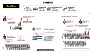 FORMATOS
Gráfico
 