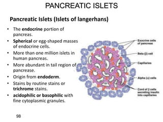 PANCREATIC ISLETS
Pancreatic Islets (Islets of langerhans)
• The endocrine portion of
pancreas.
• Spherical or egg-shaped masses
of endocrine cells.
• More than one million islets in
human pancreas.
• More abundant in tail region of
pancrease.
• Origin from endoderm.
• Stains by routine stains or
trichrome stains.
• acidophilic or basophilic with
fine cytoplasmic granules.
98
 