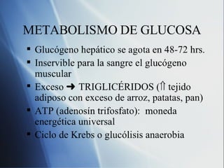 2 Carbohidratos