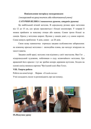 Повідомлення матеріалу екскурсоводом
( екскурсовод на уроці вчитель або підготовлений учень)
САТУРНІЯ ВЕЛИКА ( павиноочка грушева, сатурнія грушева)
Це найбільший нічний метелик. В середньому розмах крил метелика
від 12 до 15 см, але зрідка трапляються і більші екземпляри. У темряві її
можна прийняти за невелику птицю або кажана. Самки трохи більші за
самців. Крила у метелика широкі. Вусики у самців довгі, а у самок короткі.
Самці живуть приблизно 8 днів, самки – до 20 днів.
Свою назву павиноочка отримала завдяки особливостям забарвлення:
на кожному крильці метелика є окоподібна пляма, що нагадує візерунок на
хвості павича.
Завдяки своїй красі, метелик став відомим у світі мистецтва. Ван Гог ,
нідерландський художник, побачивши в саду незвичайного метелика, був
вражений його красою і тут же зробив начерк деревним вугіллям. Згодом на
основі ескізу виникла картина "Вугільний ескіз Ван Гога».
VIII. Творча робота
Робота на комп′ютері . Вправа «Склади пазли»
Учні складають пазли та розповідають про цю комаху.
IX.Підсумок уроку
 