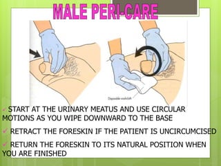  START AT THE URINARY MEATUS AND USE CIRCULAR
MOTIONS AS YOU WIPE DOWNWARD TO THE BASE
 RETRACT THE FORESKIN IF THE PATIENT IS UNCIRCUMCISED
 RETURN THE FORESKIN TO ITS NATURAL POSITION WHEN
YOU ARE FINISHED
 