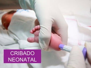 CRIBADO
NEONATAL
 