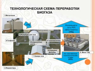 ТЕХНОЛОГИЧЕСКАЯ СХЕМА ПЕРЕРАБОТКИ
БИОГАЗА
НА СОБСТВЕННЫЕ
ТЕХНОЛОГИЧЕСКИЕ
НУЖДЫ
(25%)
77%
23%
РЕАЛИЗАЦИЯ В
СЕТЬ РУП
«БРЕСТЭНЕРГО»
(75%)
5.Резервуар для газа
6.Газфакел
3.Конденсатная
шахта
4.Газоочиститель
7. Камера газа
2.Ферментеры
1.Метантенки
9. Мини ТЭЦ
8.Угольные
фильтры
 