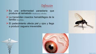 Definición
Es una enfermedad parasitaria que
produce el nematodo Onchocerca volvulus.
La transmiten insectos hematófagos de la
familia Simuliidae.
El padecimiento afecta piel y ojos y llega
a producir ceguera irreversible.
 