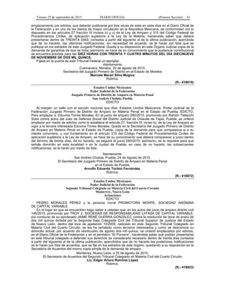 Viernes 25 de septiembre de 2015 DIARIO OFICIAL (Primera Sección) 81
emplazamiento por edictos, que deberán publicarse por tres veces de siete en siete días en el Diario Oficial de
la Federación y en uno de los diarios de mayor circulación en la República Mexicana, de conformidad con lo
dispuesto en los artículos 27 fracción III incisos b) y c) de la Ley de Amparo y 315 del Código Federal de
Procedimientos Civiles, de aplicación supletoria a la Ley de la Materia, haciéndole saber que deberá
presentarse dentro de TREINTA DÍAS, contados a partir del siguiente al de la última publicación; apercibida
que de no hacerlo, las ulteriores notificaciones, sin necesidad de acuerdo, se le harán por lista que se
publique en los estrados de este Juzgado Federal. Queda a su disposición en este Órgano Judicial copia de la
demanda de garantías de que se trata; asimismo se hace de su conocimiento que la audiencia constitucional
se encuentra prevista para las DIEZ HORAS CON TREINTA Y CUATRO MINUTOS DEL DÍA DIECINUEVE
DE NOVIEMBRE DE DOS MIL QUINCE.
Fíjese en la puerta de este Tribunal Federal un ejemplar.
Atentamente
Cuernavaca, Morelos, 20 de agosto de 2015.
Secretaria del Juzgado Primero de Distrito en el Estado de Morelos
Marcela Merari Silva Múgica
Rúbrica.
(R.- 418618)
Estados Unidos Mexicanos
Poder Judicial de la Federación
Juzgado Primero de Distrito de Amparo en Materia Penal
San Andrés Cholula, Puebla
EDICTO
Al margen un sello con el escudo nacional que dice: Estados Unidos Mexicanos. Poder Judicial de la
Federación Juzgado Primero de Distrito de Amparo en Materia Penal en el Estado de Puebla. EDICTO.
Para emplazar a: Eduvina Torres Morales. En el juicio de amparo 280/2015, promovido por Ramón Tlatenchi
Sosa contra actos del Juez de Defensa Social del Distrito Judicial de Chiautla de Tapia, Puebla, se ordenó
emplazar por medio de edictos como lo establece el artículo 27, fracción III, inciso b), de la Ley de Amparo en
vigor a la tercera interesada Eduvina Torres Morales. Queda en la Secretaría del Juzgado Primero de Distrito
de Amparo en Materia Penal en el Estado de Puebla, copia de la demanda para que comparezca si a su
interés conviniere, y con fundamento en el artículo 315 del Código Federal de Procedimientos Civiles de
aplicación supletoria a la Ley de Amparo, se hace de su conocimiento que deberá comparecer a juicio dentro
del término de treinta días, de no hacerlo, se seguirá el juicio 280/2015; asimismo, se le requiere para que
señale domicilio en esta localidad o en la ciudad de Puebla, en caso de no hacerlo, las subsecuentes
notificaciones, se le harán por medio de lista.
Atentamente.
San Andrés Cholula, Puebla, 24 de Agosto de 2015.
El Secretario del Juzgado Primero de Distrito de Amparo en Materia Penal
en el Estado de Puebla.
Arnulfo Eduardo Toribio Fernández.
Rúbrica.
(R.- 418872)
Estados Unidos Mexicanos
Poder Judicial de la Federación
Segundo Tribunal Colegiado en Materia Civil del Cuarto Circuito
Monterrey, Nuevo León
Actuaciones
EDICTO
PEDRO MORALES PÉREZ y la persona moral PROMOTORA MORPE, SOCIEDAD ANÓNIMA
DE CAPITAL VARIABLE.
En el lugar en que se encuentren hago saber a ustedes que: en los autos del juicio de amparo directo civil
146/2015, promovido por TROY 2, SOCIEDAD DE RESPONSABILIDAD LIITADA DE CAPITAL VARIABLE,
por conducto de su apoderado JAIME RENÉ GUERRA GONZÁLEZ, contra la resolución de doce de enero de
dos mil quince dictada por la Segunda Sala Colegiada Civil del Tribunal Superior de Justicia del Estado
de Nuevo León, dentro del toca de apelación 10/2009, radicado en este Segundo Tribunal Colegiado en
Materia Civil del Cuarto Circuito, se les ha señalado como terceros interesados y como se desconoce su
domicilio actual, por acuerdo de veinticuatro de agosto dos mil quince, se ordenó emplazarlos por edictos,
en el Diario Oficial de la Federación y en el periódico “El Porvenir”, haciéndole saber que podrán presentarse
en este tribunal colegiado a defender sus derechos de considerarlo necesario dentro de treinta días contados
a partir del siguiente al de la última publicación, apercibidos que de no hacerlo las posteriores notificaciones
se le harán por lista de acuerdos, que se fije en los estrados de este órgano, quedando a su disposición en la
Secretaría de Acuerdos del mismo copia simple de la demanda de amparo.
Monterrey, Nuevo León, a 25 de agosto de 2015.
El Secretario de Acuerdos del Segundo Tribunal Colegiado en Materia Civil del Cuarto Circuito
Lic. Edgar Arturo Ramírez López
Rúbrica.
(R.- 418923)
 