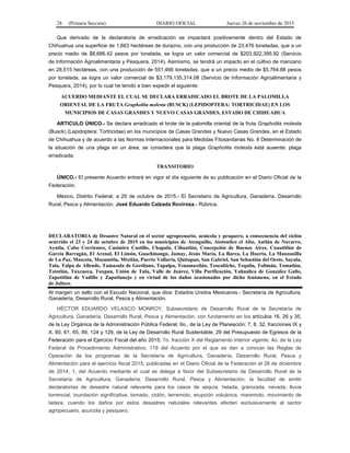 28 (Primera Sección) DIARIO OFICIAL Jueves 26 de noviembre de 2015
Que derivado de la declaratoria de erradicación se impactará positivamente dentro del Estado de
Chihuahua una superficie de 1,663 hectáreas de durazno, con una producción de 23,476 toneladas, que a un
precio medio de $8,686.42 pesos por tonelada, se logra un valor comercial de $203,922,395.92 (Servicio
de Información Agroalimentaria y Pesquera, 2014). Asimismo, se tendrá un impacto en el cultivo de manzano
en 28,515 hectáreas, con una producción de 551,466 toneladas, que a un precio medio de $5,764.88 pesos
por tonelada, se logra un valor comercial de $3,179,135,314.08 (Servicio de Información Agroalimentaria y
Pesquera, 2014), por lo cual he tenido a bien expedir el siguiente:
ACUERDO MEDIANTE EL CUAL SE DECLARA ERRADICADO EL BROTE DE LA PALOMILLA
ORIENTAL DE LA FRUTA Grapholita molesta (BUSCK) (LEPIDOPTERA: TORTRICIDAE) EN LOS
MUNICIPIOS DE CASAS GRANDES Y NUEVO CASAS GRANDES, ESTADO DE CHIHUAHUA
ARTICULO ÚNICO.- Se declara erradicado el brote de la palomilla oriental de la fruta Grapholita molesta
(Busck) (Lepidoptera: Tortricidae) en los municipios de Casas Grandes y Nuevo Casas Grandes, en el Estado
de Chihuahua y de acuerdo a las Normas Internacionales para Medidas Fitosanitarias No. 8 Determinación de
la situación de una plaga en un área, se considera que la plaga Grapholita molesta está ausente: plaga
erradicada.
TRANSITORIO
ÚNICO.- El presente Acuerdo entrará en vigor el día siguiente de su publicación en el Diario Oficial de la
Federación.
México, Distrito Federal, a 20 de octubre de 2015.- El Secretario de Agricultura, Ganadería, Desarrollo
Rural, Pesca y Alimentación, José Eduardo Calzada Rovirosa.- Rúbrica.
DECLARATORIA de Desastre Natural en el sector agropecuario, acuícola y pesquero, a consecuencia del ciclón
ocurrido el 23 y 24 de octubre de 2015 en los municipios de Atenguillo, Atotonilco el Alto, Autlán de Navarro,
Ayutla, Cabo Corrientes, Casimiro Castillo, Chapala, Cihuatlán, Concepción de Buenos Aires, Cuautitlán de
García Barragán, El Arenal, El Limón, Guachinango, Jamay, Jesús María, La Barca, La Huerta, La Manzanilla
de La Paz, Mascota, Mazamitla, Mixtlán, Puerto Vallarta, Quitupan, San Gabriel, San Sebastián del Oeste, Sayula,
Tala, Talpa de Allende, Tamazula de Gordiano, Tapalpa, Tenamaxtlán, Teocaltiche, Tequila, Tolimán, Tomatlán,
Tototlán, Tuxcueca, Tuxpan, Unión de Tula, Valle de Juárez, Villa Purificación, Yahualica de González Gallo,
Zapotitlán de Vadillo y Zapotlanejo y en virtud de los daños ocasionados por dicho fenómeno, en el Estado
de Jalisco.
Al margen un sello con el Escudo Nacional, que dice: Estados Unidos Mexicanos.- Secretaría de Agricultura,
Ganadería, Desarrollo Rural, Pesca y Alimentación.
HÉCTOR EDUARDO VELASCO MONROY, Subsecretario de Desarrollo Rural de la Secretaría de
Agricultura, Ganadería, Desarrollo Rural, Pesca y Alimentación, con fundamento en los artículos 16, 26 y 35,
de la Ley Orgánica de la Administración Pública Federal; 9o., de la Ley de Planeación; 7, 8, 32, fracciones IX y
X, 60, 61, 65, 89, 124 y 129, de la Ley de Desarrollo Rural Sustentable; 29 del Presupuesto de Egresos de la
Federación para el Ejercicio Fiscal del año 2015; 7o. fracción X del Reglamento Interior vigente; 4o. de la Ley
Federal de Procedimiento Administrativo; 118 del Acuerdo por el que se dan a conocer las Reglas de
Operación de los programas de la Secretaría de Agricultura, Ganadería, Desarrollo Rural, Pesca y
Alimentación para el ejercicio fiscal 2015, publicadas en el Diario Oficial de la Federación el 28 de diciembre
de 2014; 1, del Acuerdo mediante el cual se delega a favor del Subsecretario de Desarrollo Rural de la
Secretaría de Agricultura, Ganadería, Desarrollo Rural, Pesca y Alimentación, la facultad de emitir
declaratorias de desastre natural relevante para los casos de sequía, helada, granizada, nevada, lluvia
torrencial, inundación significativa, tornado, ciclón, terremoto, erupción volcánica, maremoto, movimiento de
ladera, cuando los daños por estos desastres naturales relevantes afecten exclusivamente al sector
agropecuario, acuícola y pesquero.
 
