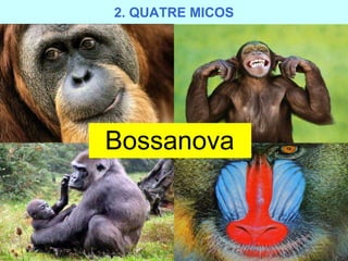 2. QUATRE MICOS    Bossanova 