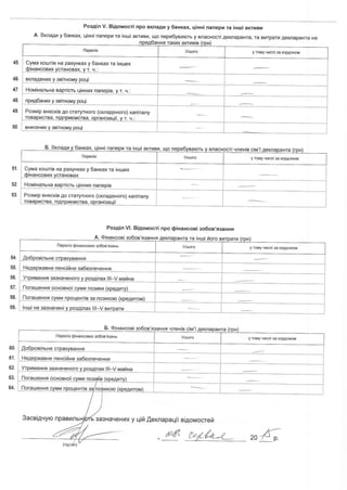Декларація про доходи Катерини Рожкової за 2014 рік