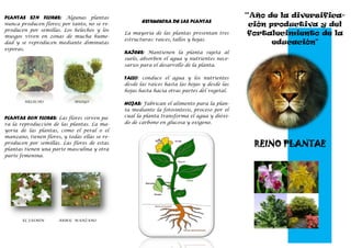 PLANTAS SIN FLORES: Algunas plantas
nunca producen flores; por tanto, no se re-
producen por semillas. Los helechos y los
musgos viven en zonas de mucha hume-
dad y se reproducen mediante diminutas
esporas.
HELECHO MUSGO
PLANTAS CON FLORES: Las flores sirven pa-
ra la reproducción de las plantas. La ma-
yoría de las plantas, como el peral o el
manzano, tienen flores, y todas ellas se re-
producen por semillas. Las flores de estas
plantas tienen una parte masculina y otra
parte femenina.
EL JASMIN ARBOL MANZANO
ESTRUCUTRA DE LAS PLANTAS
La mayoría de las plantas presentan tres
estructuras: raíces, tallos y hojas.
RAÍCES: Mantienen la planta sujeta al
suelo, absorben el agua y nutrientes nece-
sarios para el desarrollo de la planta.
TALLO: conduce el agua y los nutrientes
desde las raíces hasta las hojas y desde las
hojas hasta hacia otras partes del vegetal.
HOJAS: Fabrican el alimento para la plan-
ta mediante la fotosíntesis, proceso por el
cual la planta transforma el agua y dióxi-
do de carbono en glucosa y oxígeno.
REINO PLANTAE
“Año de la diversifica-
ción productiva y del
fortalecimiento de la
educación"
 