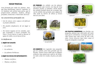 LOS ÁRBOLES: Los árboles son las plantas
más grandes que existen. Los hay de muy
distintas formas y tamaños, desde peque-
ños árboles frutales hasta las secuoyas, que
son los árboles más grandes, pues alguna de
ellas mide 84 metros de altura y tienen
más de 3500 años.
ARBOL DE MANGO CEDRO
ARAGUANEY
LOS ARBUSTOS: Son vegetales más pequeños
que los árboles, pero más grandes que las
hierbas. Tienen varios tallos que en algunos
arbustos, hay numerosas especies de arbus-
tos tales como: los rosales, la jara y la aula-
ga.
REINO VEGETAL
Está formado por todas las plantas. Aun-
que hay muchísimas especies vegetales, el
ser humano solo utiliza unas pocas, que le
proporcionan alimento, madera, abrigo,
perfumes, medicinas o materiales diversos.
Sus características principales son:
 Son los únicos seres capaces de fabricar
su propio alimento.
 No pueden desplazarse de un lugar a
otro.
 No tienen órganos de los sentidos, aun-
que responden a ciertos estímulos: las
raíces crecen hacia el suelo y buscan el
agua; los tallos crecen hacia la luz.
Se clasifican en:
1.- SEGÚN SU TAMAÑO:
 Los arboles.
 Los arbustos.
 Las plantas herbáceas.
2.-SEGÚN SU FORMA DE REPRODUCCIÓN:
 Plantas sin flores.
 Plantas con flores.
ARBUSTO ROSAL
AULAGA
LAS PLANTAS HERBÁCEAS: Las hierbas son
pequeñas plantas que sobresalen del suelo
unos pocos centímetros. La mayor parte de
ellas tienen una vida corta, de uno o dos
años. Existe diversos tipos tales como: el
trigo, la amapola o el perejil.
EL TRIGO EL ROSAL
EL PEREJIL
 