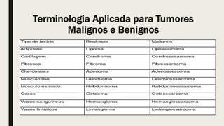 Terminologia Aplicada para Tumores
Malignos e Benignos
 