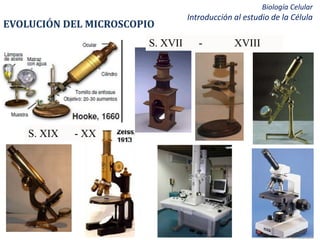 Biología Celular
Introducción al estudio de la Célula
EVOLUCIÓN DEL MICROSCOPIO
S. XVII - XVIII
S. XIX - XX
 