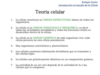 Biología Celular
Introducción al estudio de la Célula
Teoría celular
1. La célula constituye la UNIDAD ESTRUCTURAL básica de todos los
organismos.
2. La célula es la UNIDAD FISIOLOGICA Y BIOQUIMICA, es decir
todas las actividades metabólicas y todas las funciones vitales se
desarrollan dentro de la célula.
3. La célula es la UNIDAD GENÉTICA de todo organismo vivo, toda
célula proviene de otra célula preexistente.
4. Hay organismos unicelulares y pluricelulares
5. Las células contienen información hereditaria que se transmite a
las células hijas.
6. La células son prácticamente idénticas en su composición química.
7. La actividad de un ser vivo depende de la actividad de la o las
células que lo componen.
 
