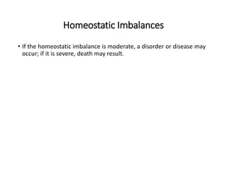 Homeostatic Imbalances
• If the homeostatic imbalance is moderate, a disorder or disease may
occur; if it is severe, death may result.
 