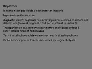 Diagnostic:
le taenia n'est pas visible directement en imagerie
hyperéosinophilie modérée
diagnostic direct: segments murs rectangulaires éliminés en dehors des
défécations (souvent diagnostic fait par le patient lui-même !)
Transparisation des segments pour mettre en évidence utérus à
ramifications fines et nombreuses
Test à la cellophane adhésive montrant oeufs et embryophores
Parfois embryophores libérés dans selles par segments lysés
 