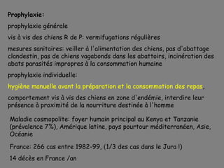 Prophylaxie:
prophylaxie générale
vis à vis des chiens R de P: vermifugations régulières
mesures sanitaires: veiller à l'alimentation des chiens, pas d'abattage
clandestin, pas de chiens vagabonds dans les abattoirs, incinération des
abats parasités impropres à la consommation humaine
prophylaxie individuelle:
hygiène manuelle avant la préparation et la consommation des repas,
comportement vis à vis des chiens en zone d'endémie, interdire leur
présence à proximité de la nourriture destinée à l'homme

Maladie cosmopolite: foyer humain principal au Kenya et Tanzanie
(prévalence 7%), Amérique latine, pays pourtour méditerranéen, Asie,
Océanie

France: 266 cas entre 1982-99, (1/3 des cas dans le Jura !)
14 décès en France /an
 