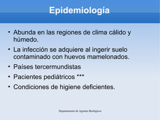 Epidemiología

• Abunda en las regiones de clima cálido y
  húmedo.
• La infección se adquiere al ingerir suelo
  contaminado con huevos mamelonados.
• Países tercermundistas
• Pacientes pediátricos ***
• Condiciones de higiene deficientes.


                 Departamento de Agentes Biológicos
 