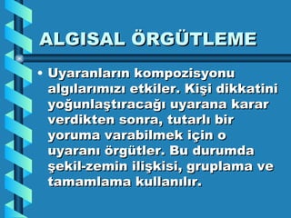 ALGISAL ÖRGÜTLEME Uyaranların kompozisyonu algılarımızı etkiler. Kişi dikkatini yoğunlaştıracağı uyarana karar verdikten sonra, tutarlı bir yoruma varabilmek için o uyaranı örgütler. Bu durumda şekil-zemin ilişkisi, gruplama ve tamamlama kullanılır. 