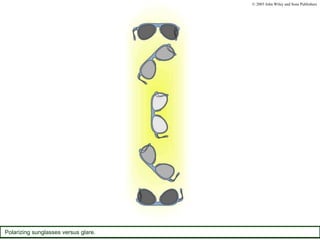 Chapter 20 Slide 50
Polarizing sunglasses versus glare.
© 2003 John Wiley and Sons Publishers
 
