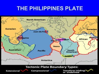 THE PHILIPPINES PLATE
 