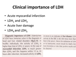 Clinical importance of LDH
• Acute myocardial infarction
• LDH1 and LDH2
• Acute liver damage
• LDH4 and LDH5
 