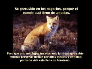 Sé precavido en los negocios, porque el mundo está lleno de astucias. Pero que esto no ciegue tus ojos ante la virtud que existe; muchas personas luchan por altos ideales, y en todas partes la vida está llena de heroísmo.  
