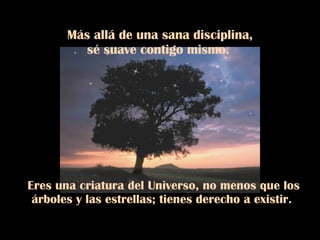 Más allá de una sana disciplina, sé suave contigo mismo.  Eres una criatura del Universo, no menos que los árboles y las estrellas; tienes derecho a existir.  